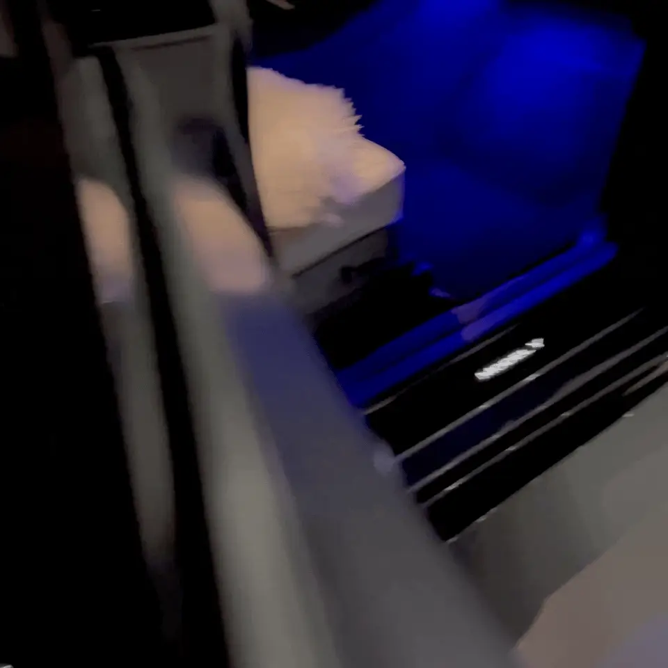 Model 3 & Y Light Up Door Sill Covers - with Magnetic Induction LED's (All 4 Doors) - Image 7