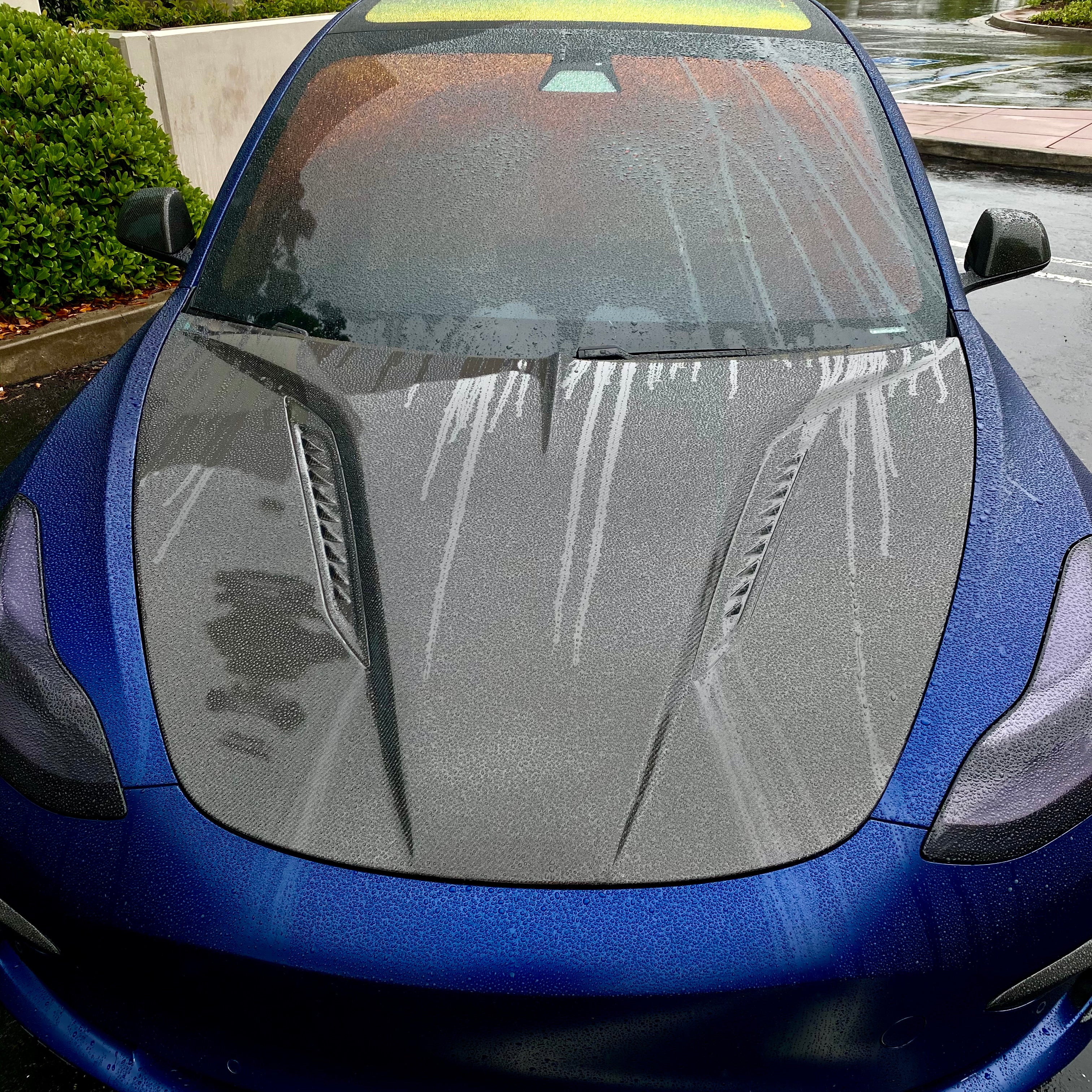 2017-2023 | Model 3 Viento Shark Tooth Hood - Dual Layer Clear Bra- Real Molded Carbon Fiber - Image 6