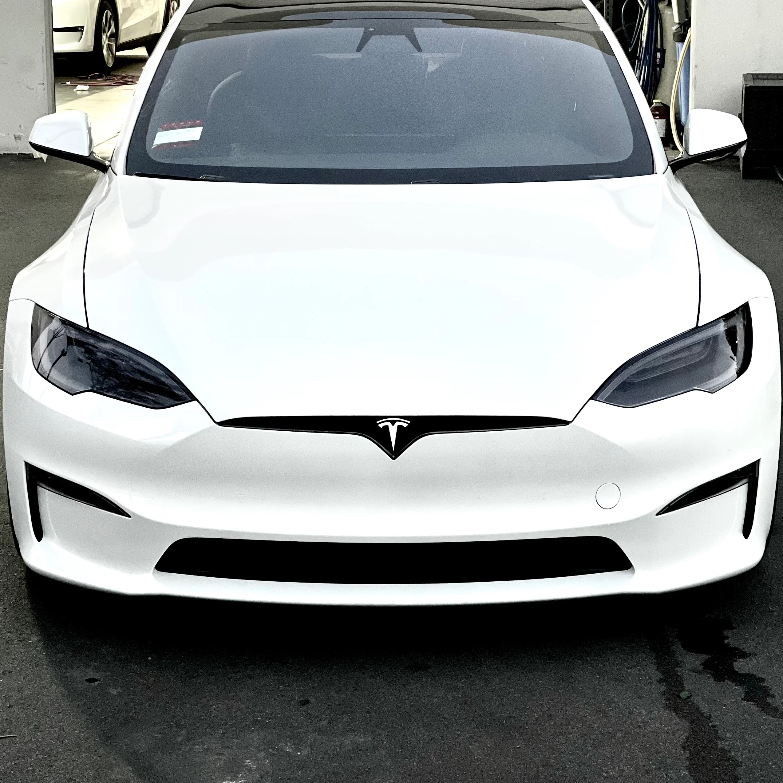 Model S Headlight & Fog Light Protection Film (Set of 4) - Clear or Smoked - Image 5